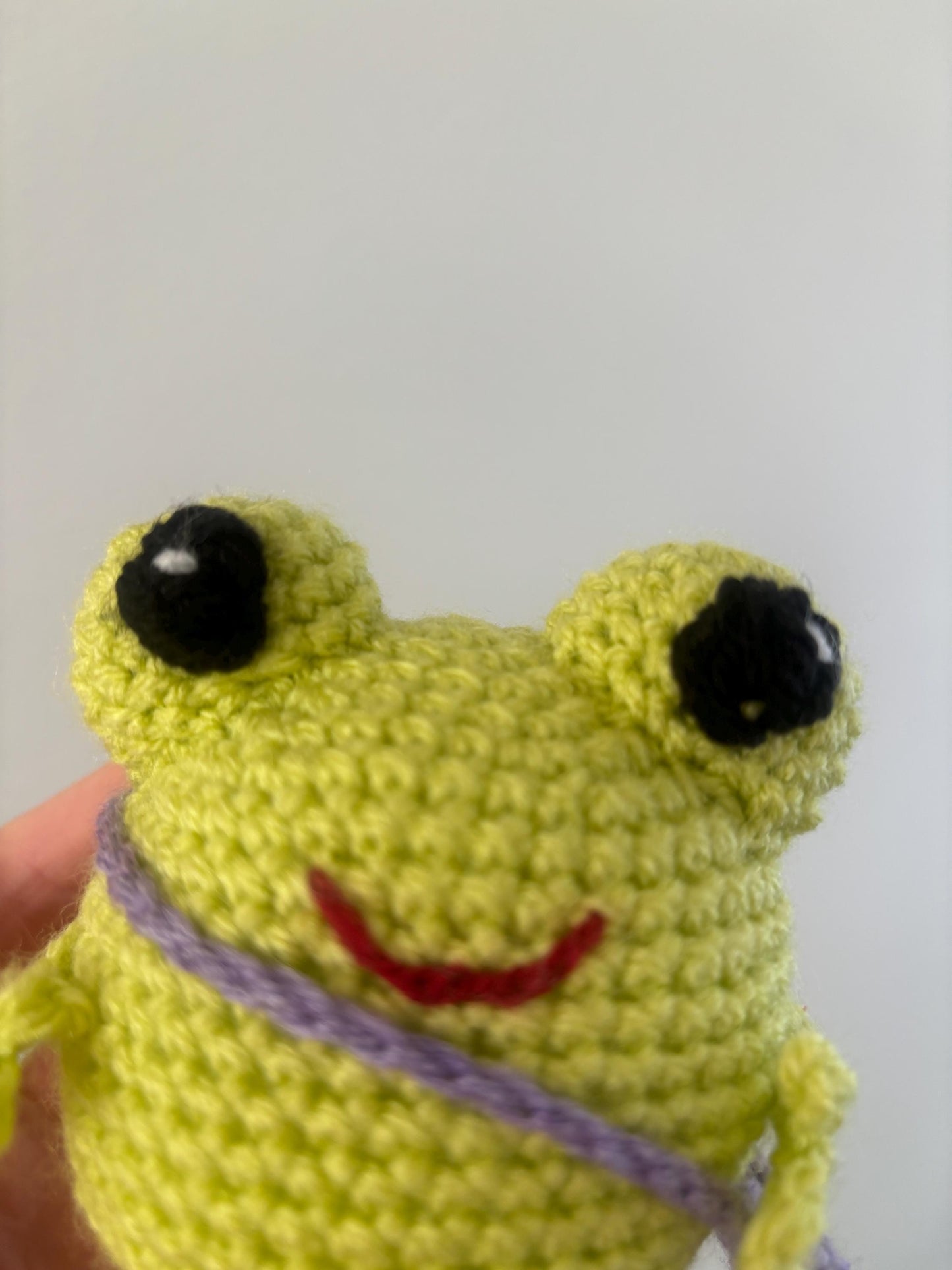 Cute Crochet Frog Plushie - Easy-to-Follow Tutorial Included - Instant Download