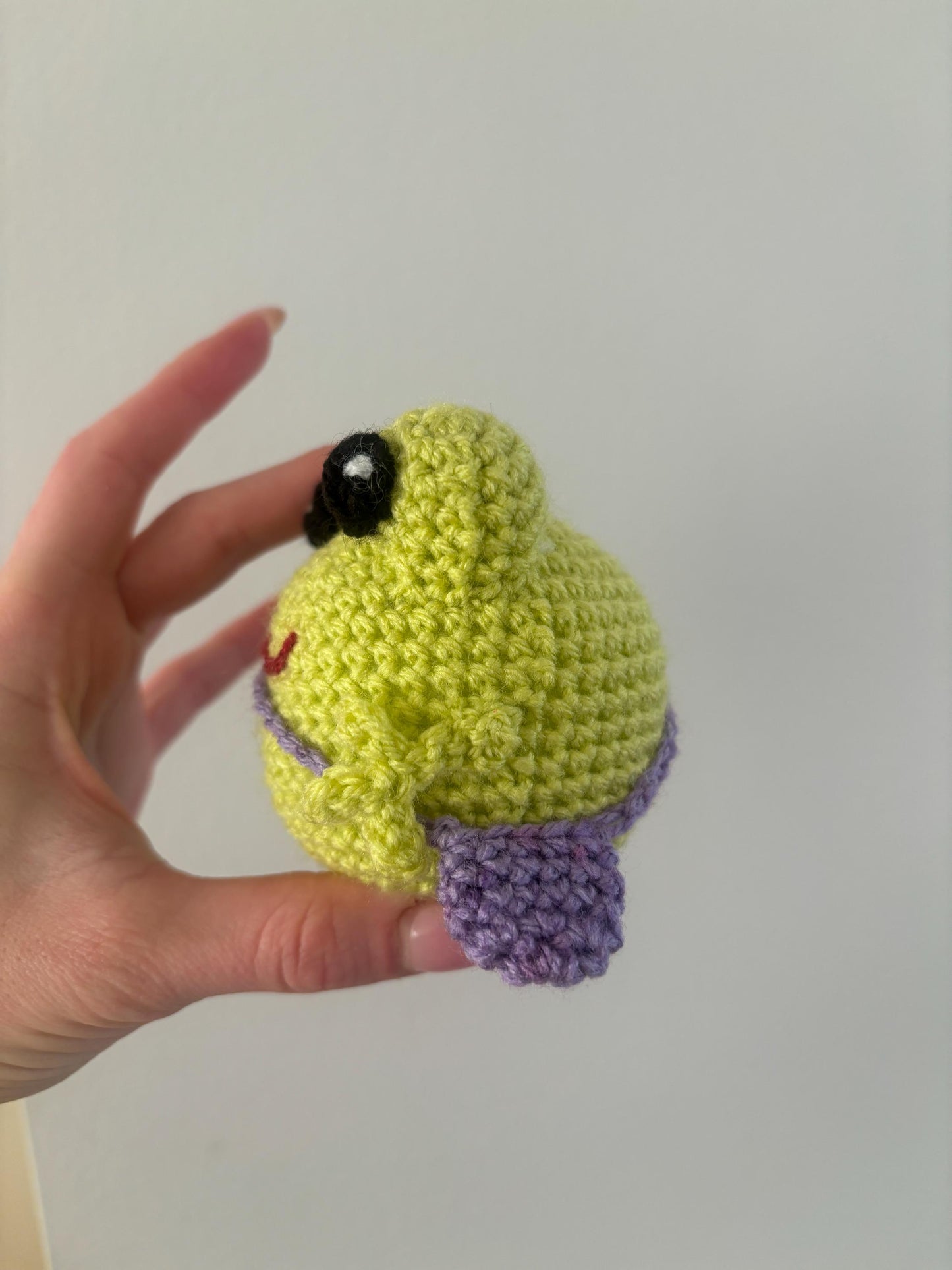 Cute Crochet Frog Plushie - Easy-to-Follow Tutorial Included - Instant Download