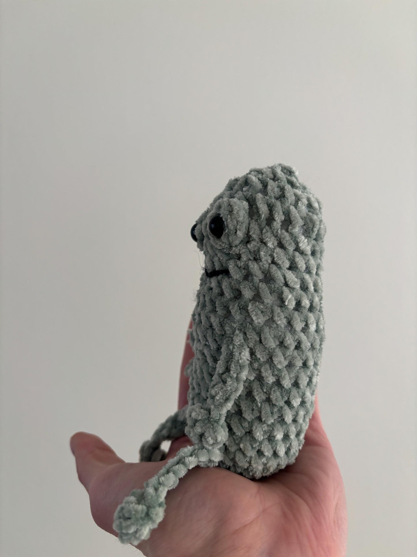 No Sew Amigurumi Pattern Pickle Leggy Frog Crochet | Puff Stitch Eyes | Beginner Frog Plush Pattern Crochet Toy Tutorial