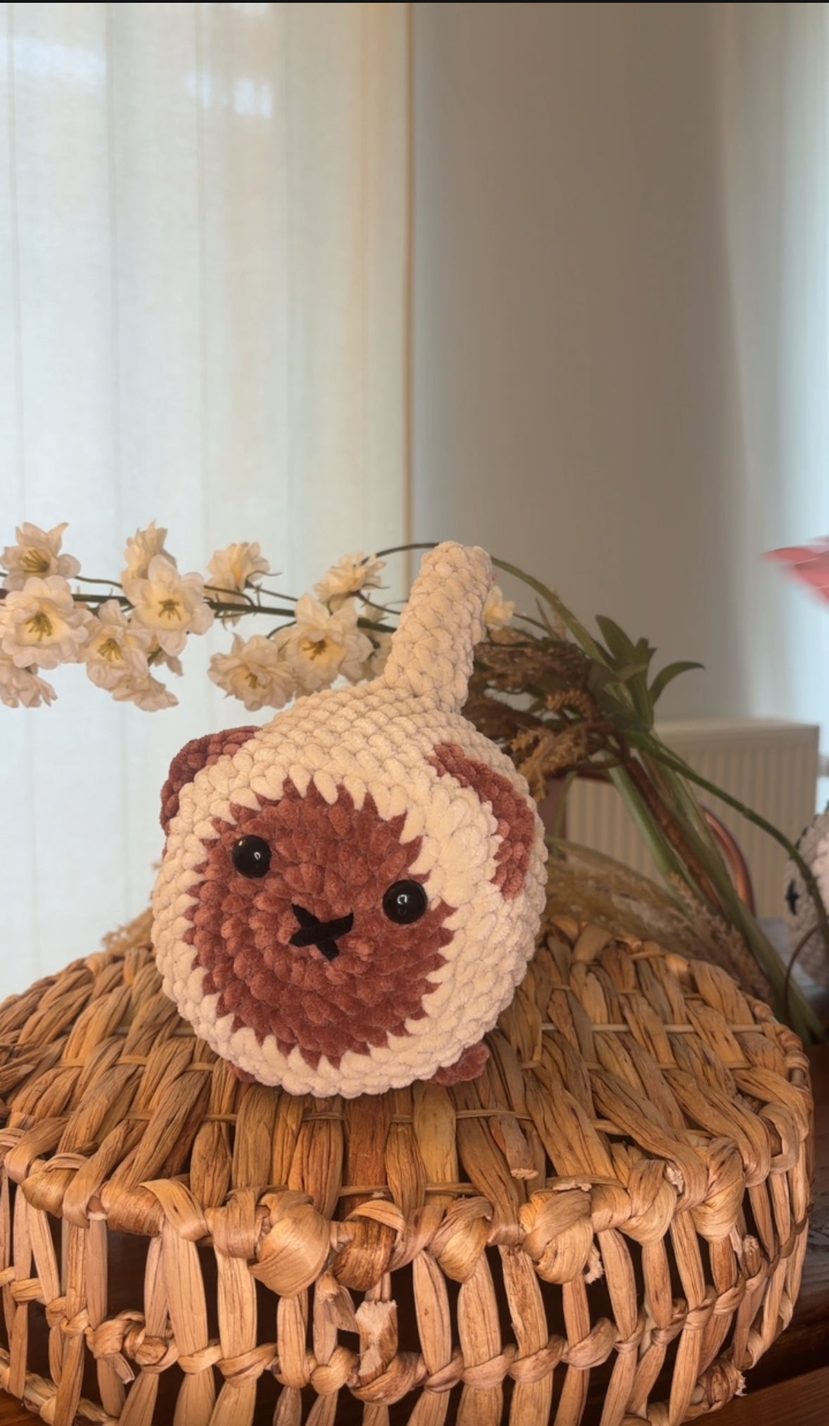 5-in-1 Loaf Cat Crochet Pattern Bundle – No-Sew Plushies for Beginners