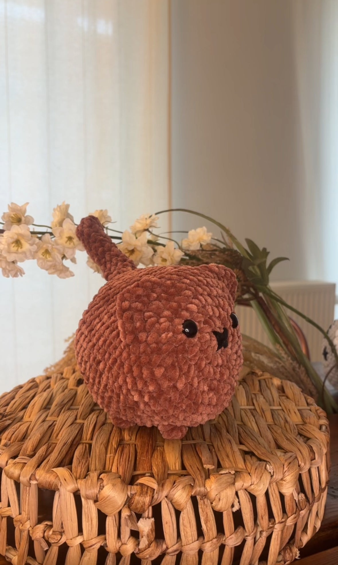 5-in-1 Loaf Cat Crochet Pattern Bundle – No-Sew Plushies for Beginners